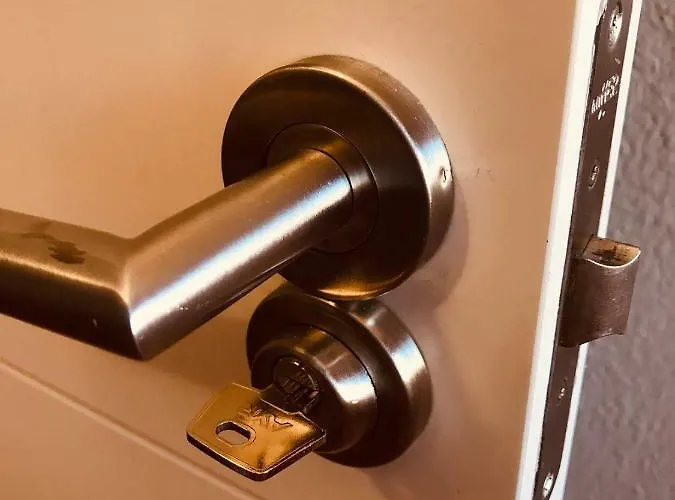 Byor 大加那利岛拉斯帕尔马斯